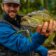 Smallmouth Bass Fishing for Beginners