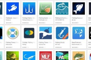 The Best Fishing Apps Which One is Right for You