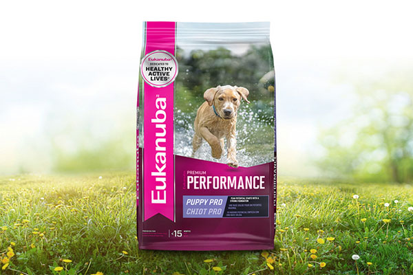 Free Eukanuba™ Dog Food